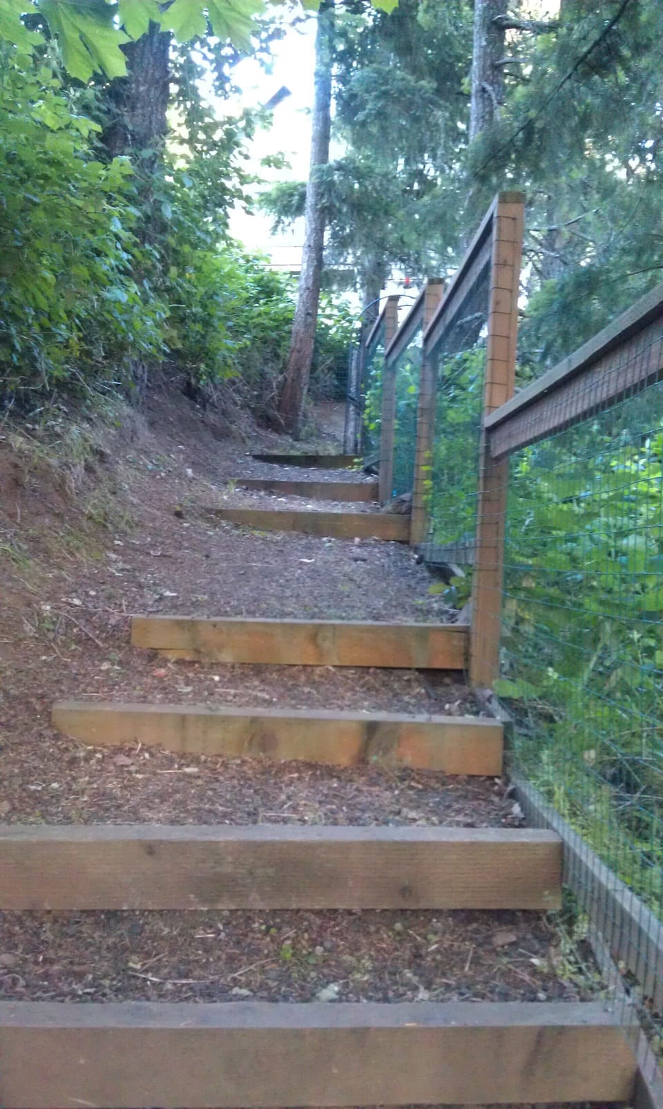 trail on property.