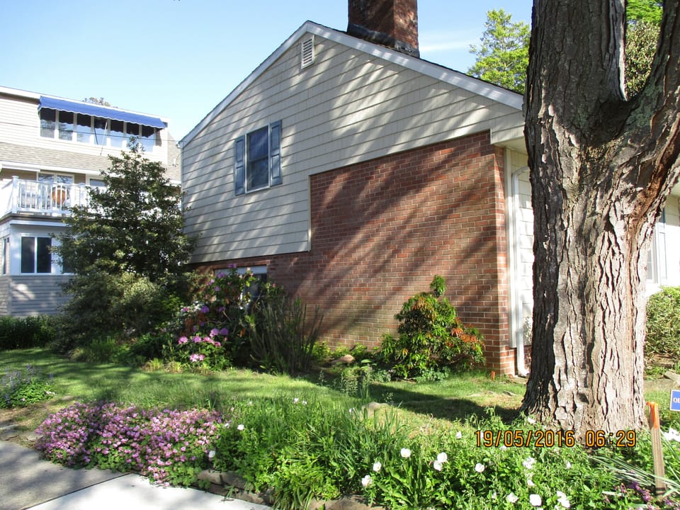 54 Olive Ave street view