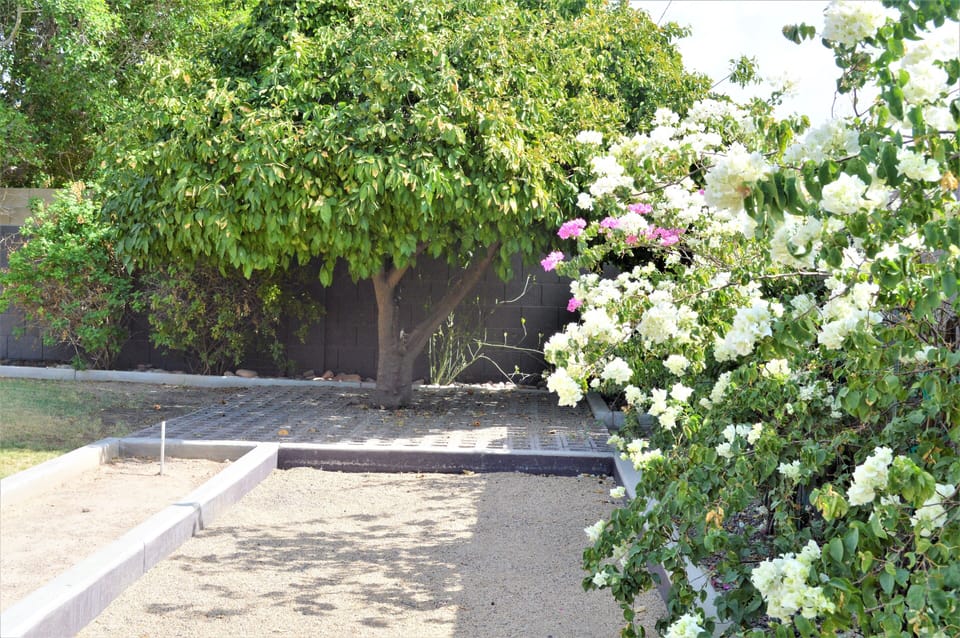 Bocce Court, Horseshoe pit and Grapefruit Tree
