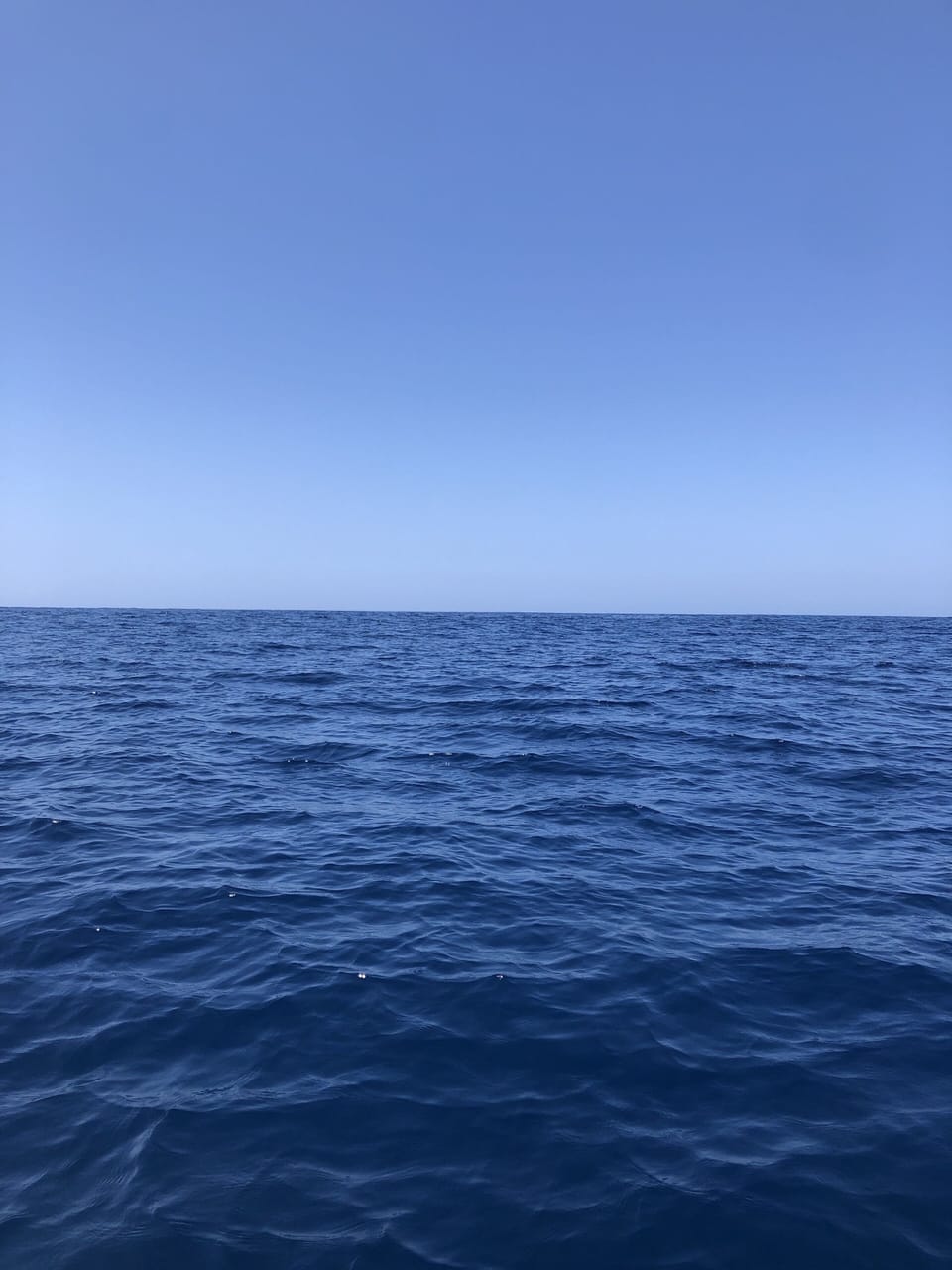 Living in the Blue Zone