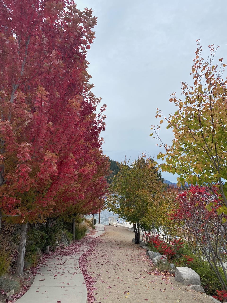 Autumn in La Casa