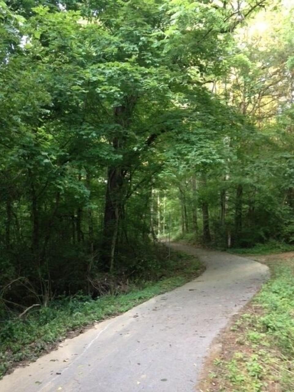 meandering paths thru Fletcher Park...