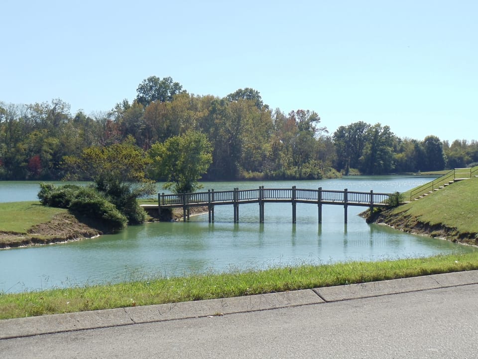View of the pond by the subdivision pool.