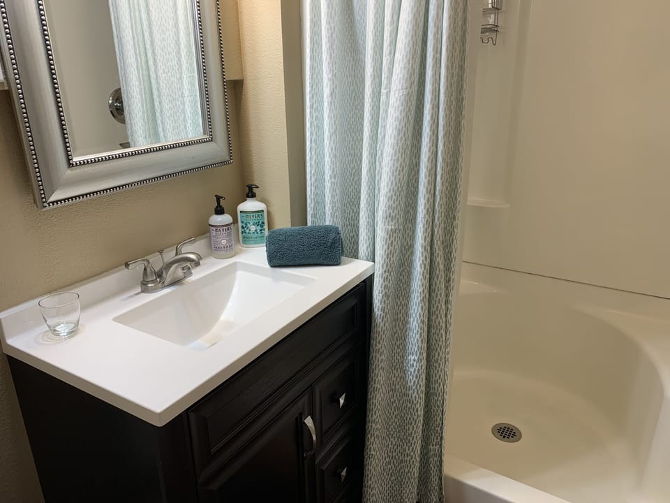 nice bathroom with Mrs Meyers products and new vanity