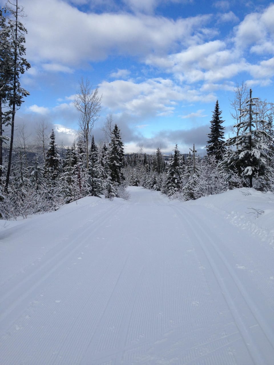 Perfect cross country skiing at Dawn Mountain Nordic Centre