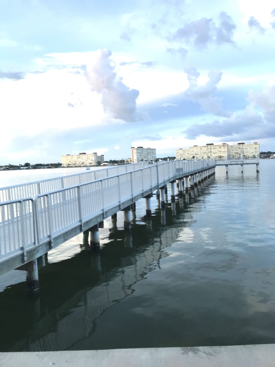 Large Pier at the Park