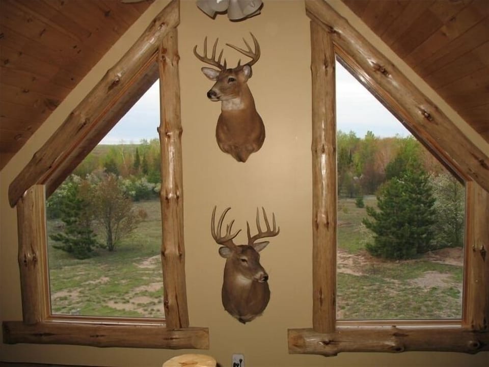 Spring time view from the Cabin Loft