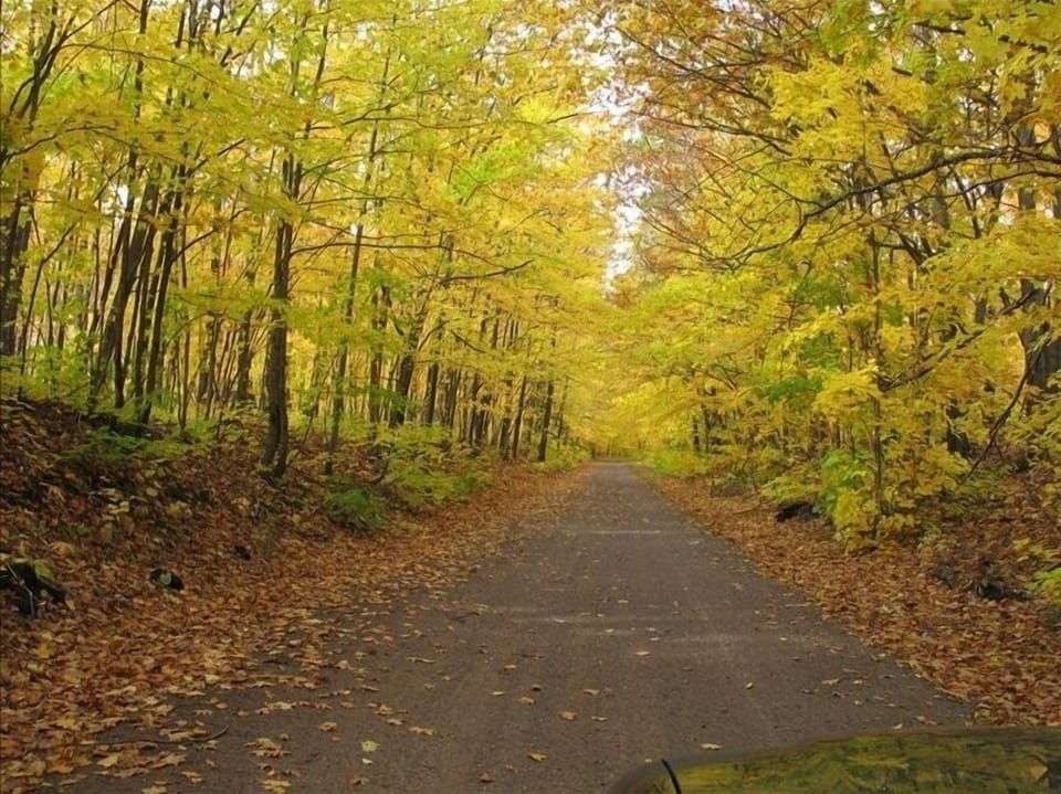 North Freda multipurpose trail (Fall) bordering the South property line