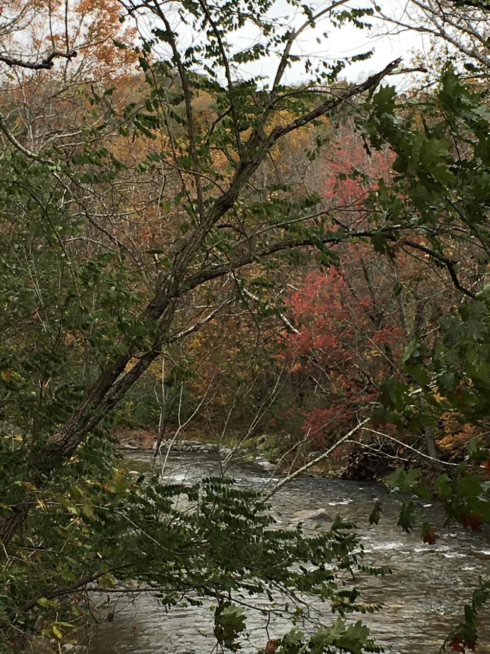 Pisgah Creek