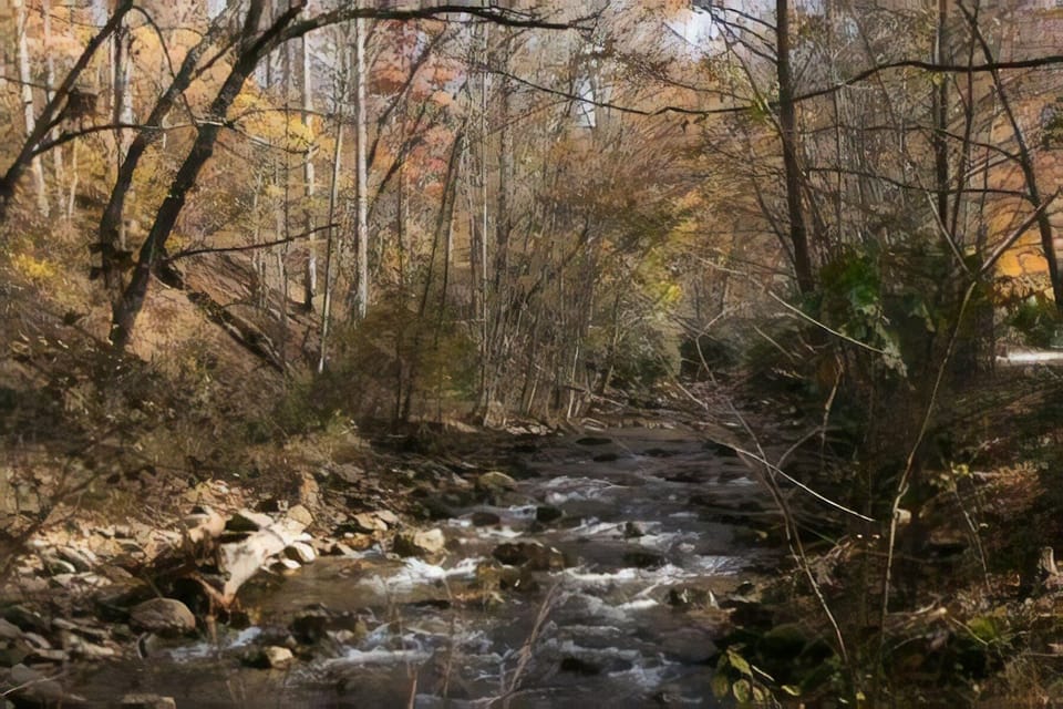 Pisgah Creek Across the Road