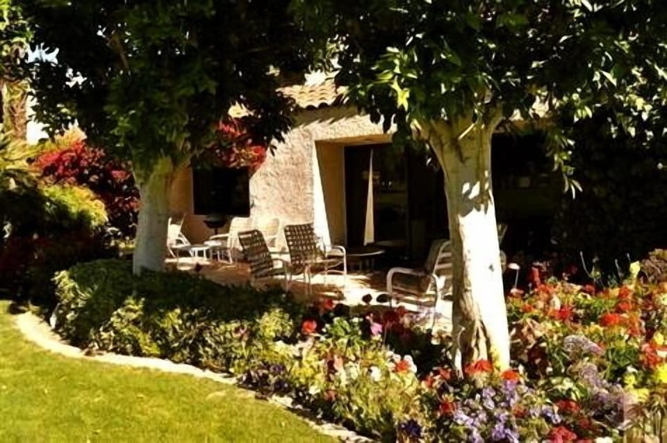 Back Patio