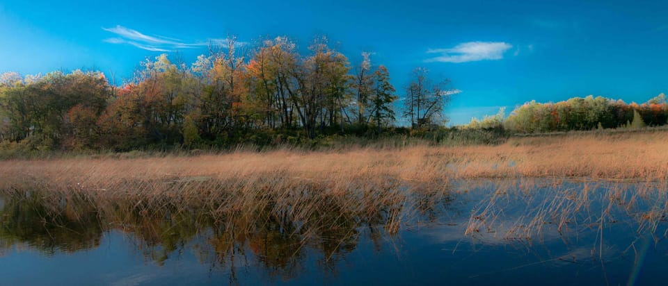 The entrance toTurtle River North of the point of the peninsula