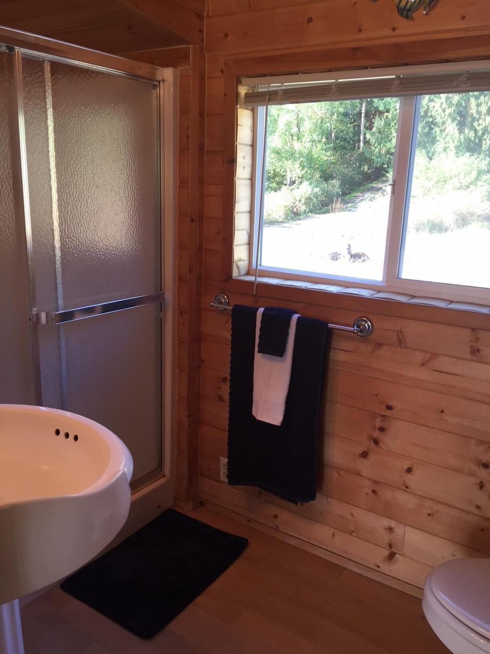 shower, lower-level bathroom