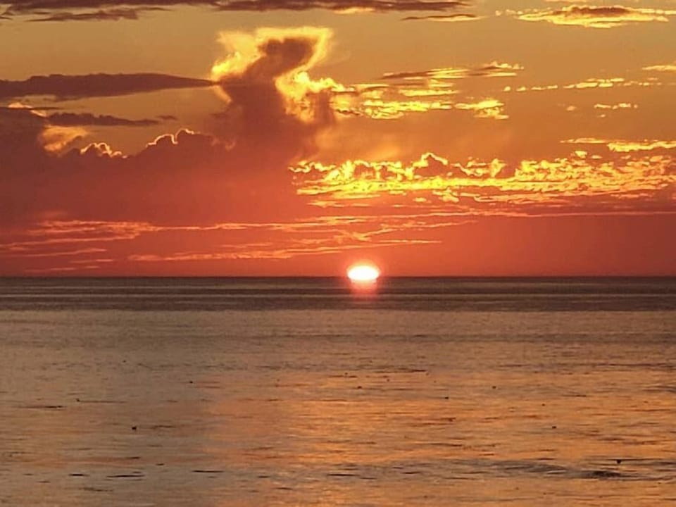 a56209a8-7e01-46fb-9fd5-2b1dfdff61c4