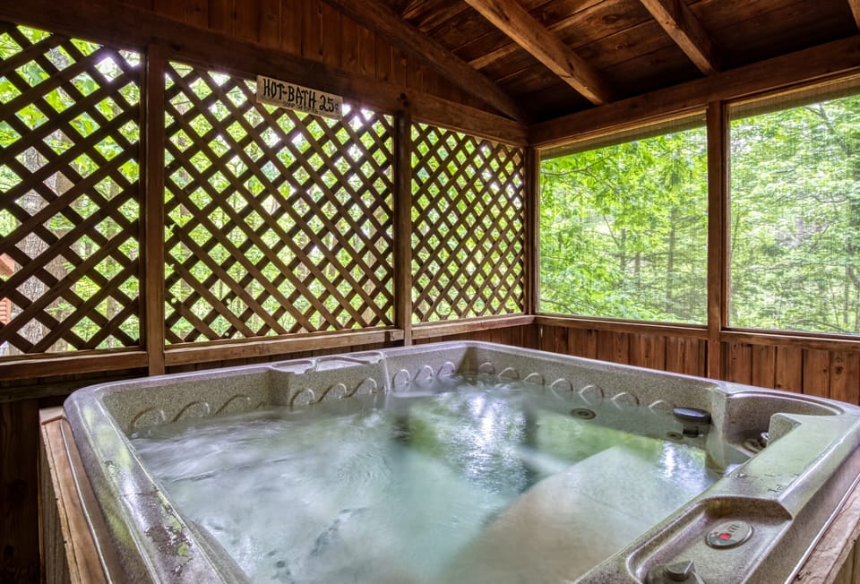 Smoky Mountain Cabin "Back to Nature" - Hot tub
