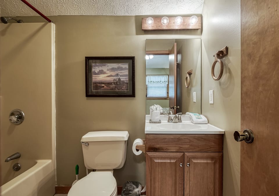 Wears Valley Cabin "Back to Nature" - Upper level bathroom
