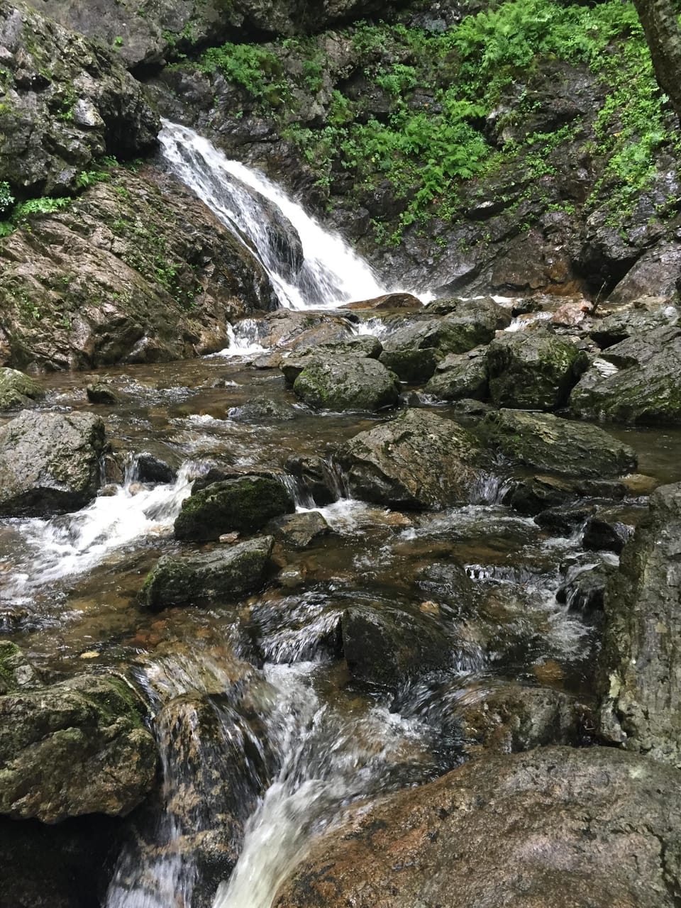 Hiking in nearby Uisg Bahn Falls in Baddeck, 45 minutes away.