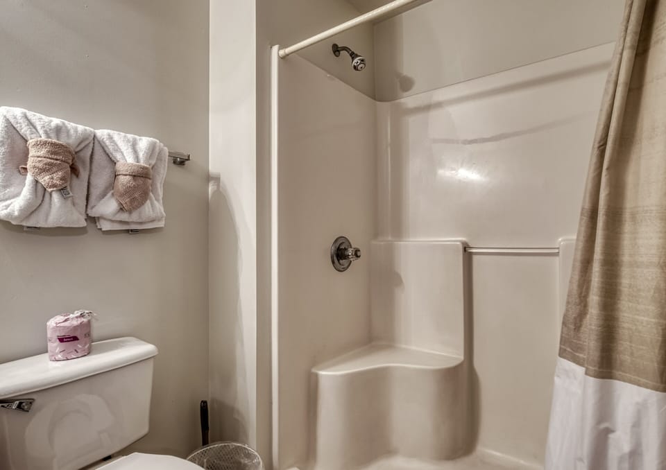 Budget Friendly Vacation Rental in Pigeon Forge "Henderson's Riverside" - Bathroom with walk in shower