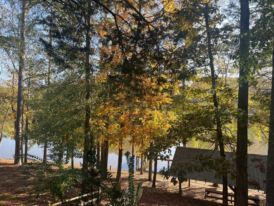 Beautiful fall day looking from deck to lake