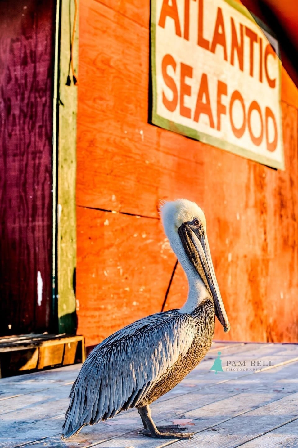 Downtown fresh seafood for all who are patient.  Fly by several times a day.