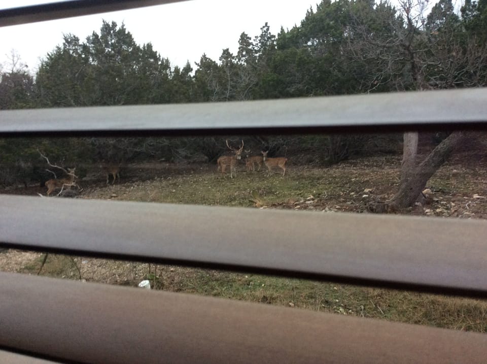 View from property