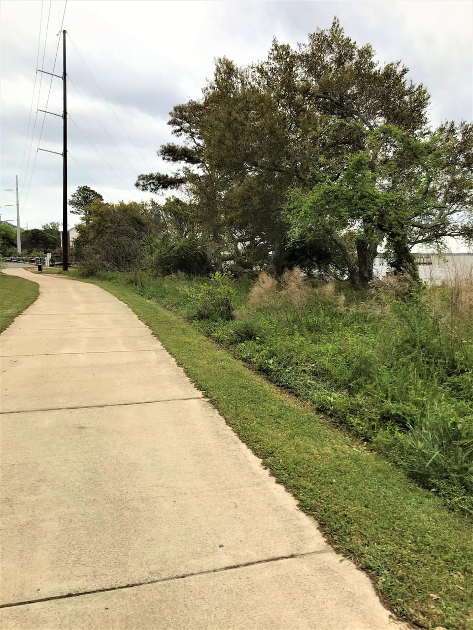 Bike/walk soundside path out back cottage gate to left is township sound beach