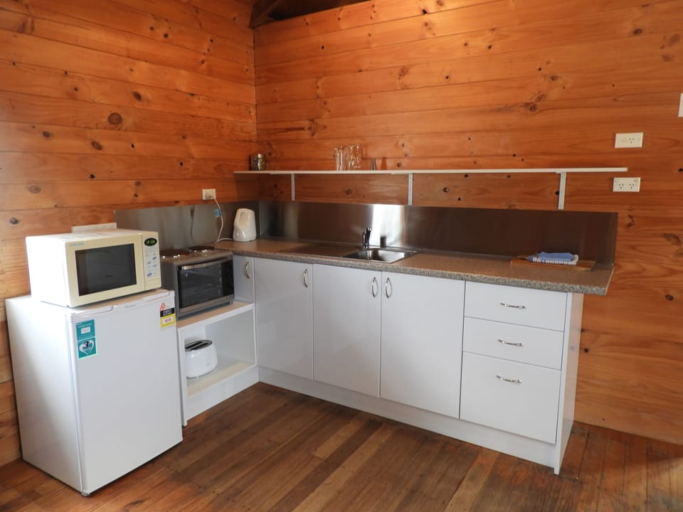 Full-size fridge, microwave, oven, stovetop