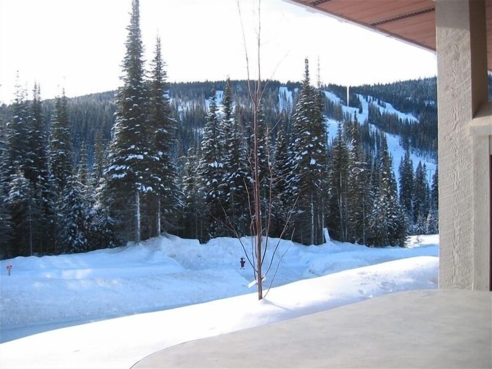 View from the hot tub on private deck