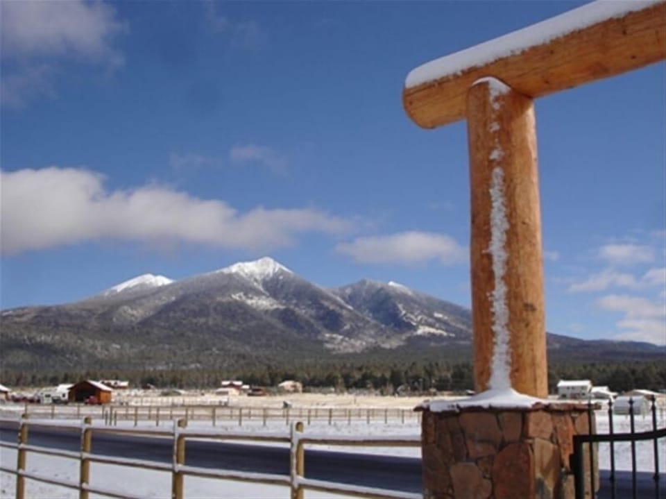 This beautiful, private home is located on 3 fenced acres.