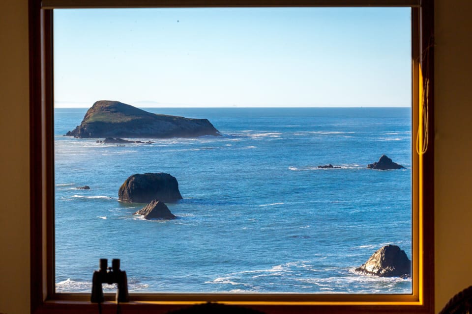 This is the view from the Sun Room. Floating on the ocean, watching ships go by!