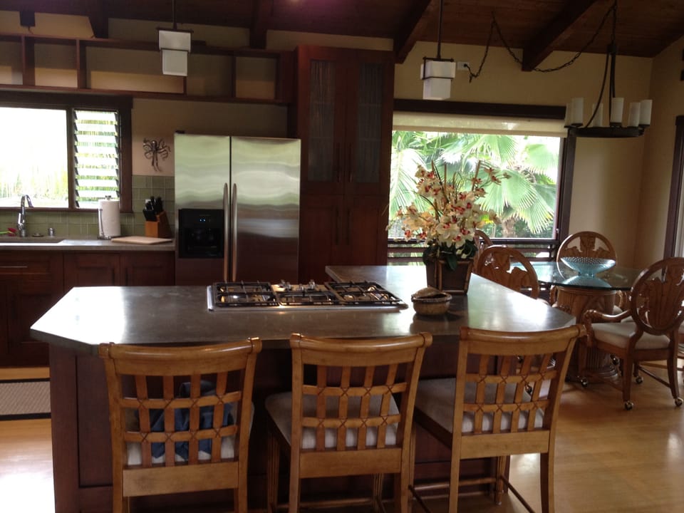 Gas cook top and stainless steel appliances. Fridge with ice maker.