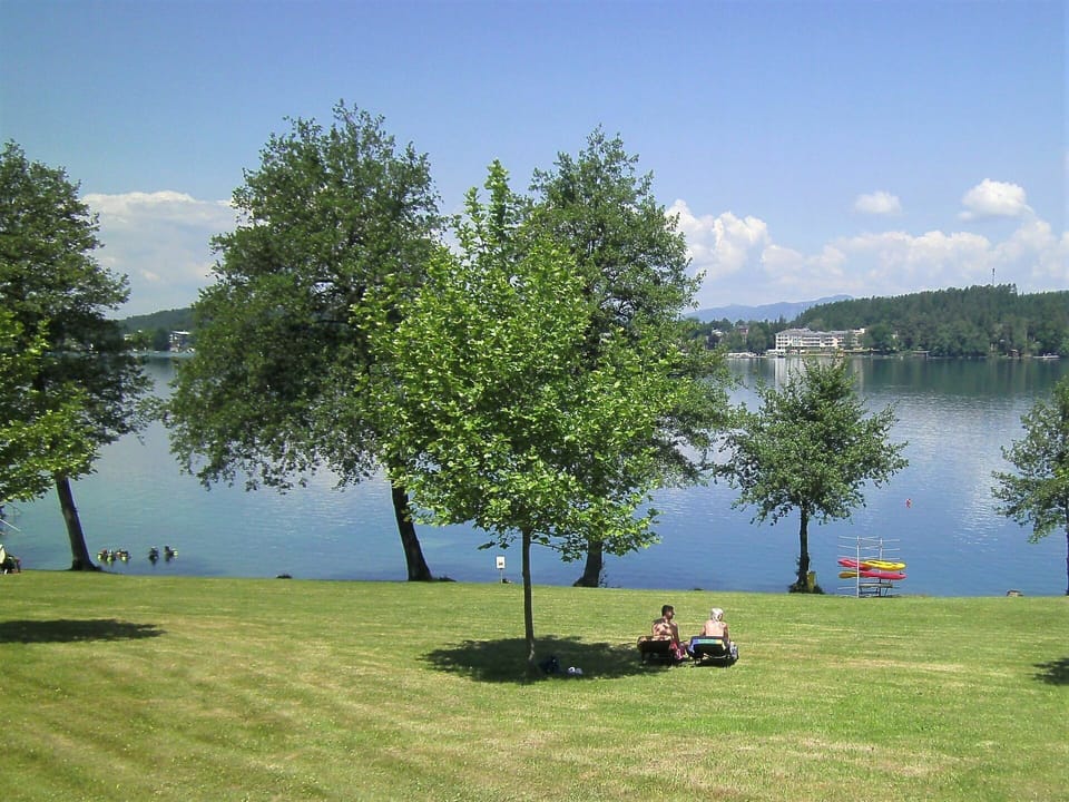 Tree, Nature, Natural Landscape, Green, Sky, Grass, Lake, Natural Environment, Woody Plant, Land Lot