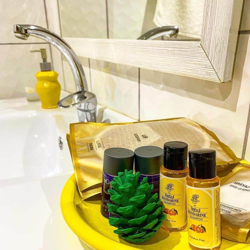 Deluxe Room | Bathroom | Shower, hydromassage showerhead, free toiletries, hair dryer