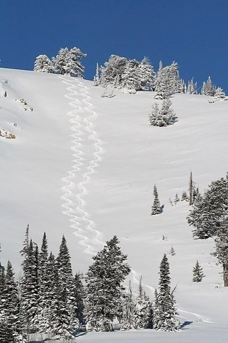 For skiers & boarders, we're 10 min from Powder Mtn and 20 min from Snowbasin.