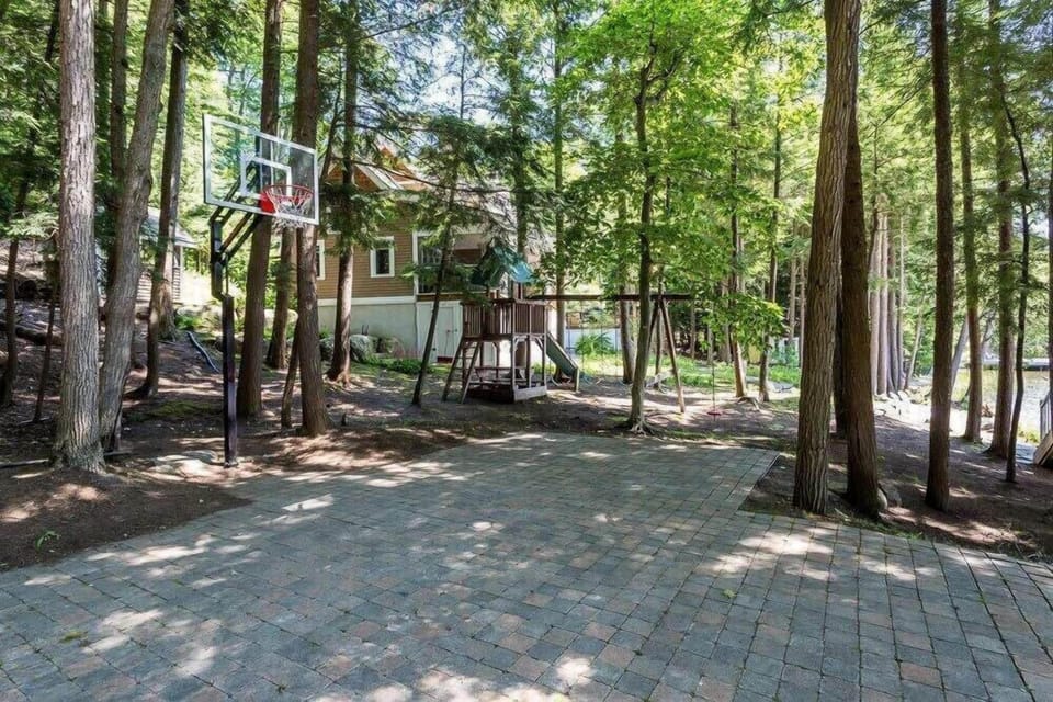Basketball court for the kid in you!