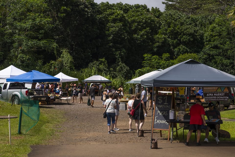 Meet the local farmers at the market! 