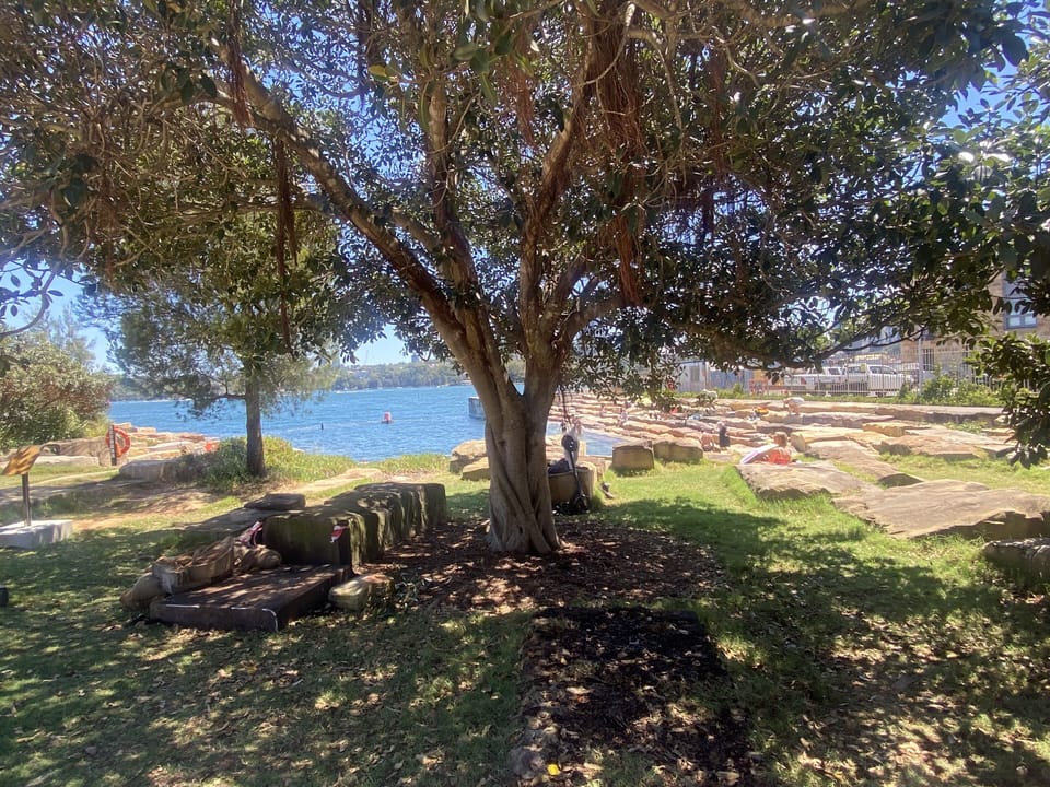 Picnics, or morning walks. We are surrounded by Barangaroo and the Harbour.