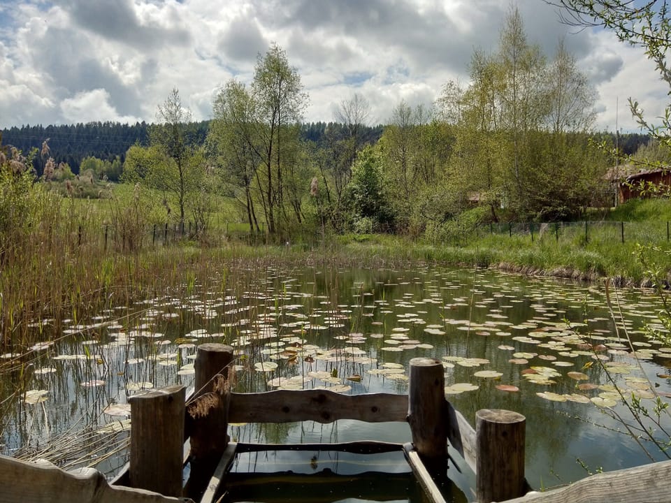 Lake