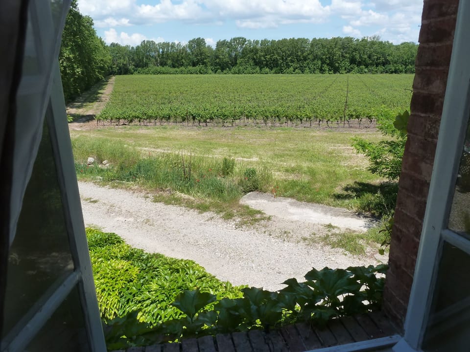 View from bedroom windows