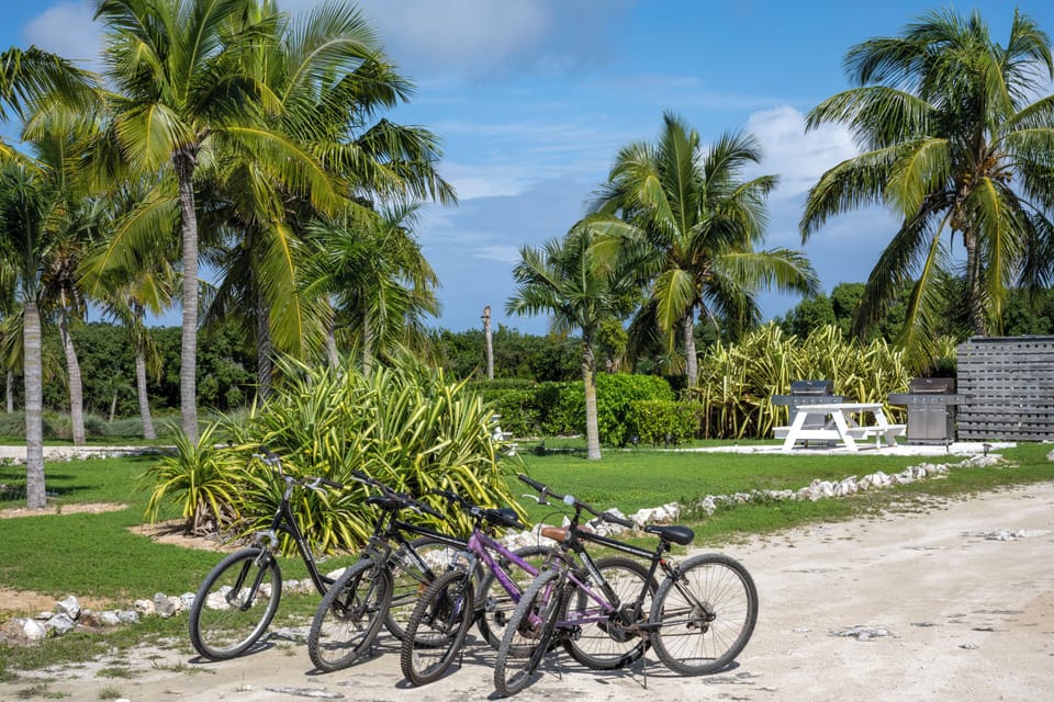 Bikes available at no charge