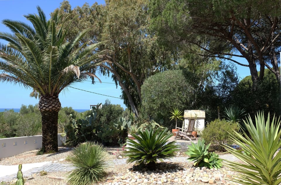 Garden view towards sea