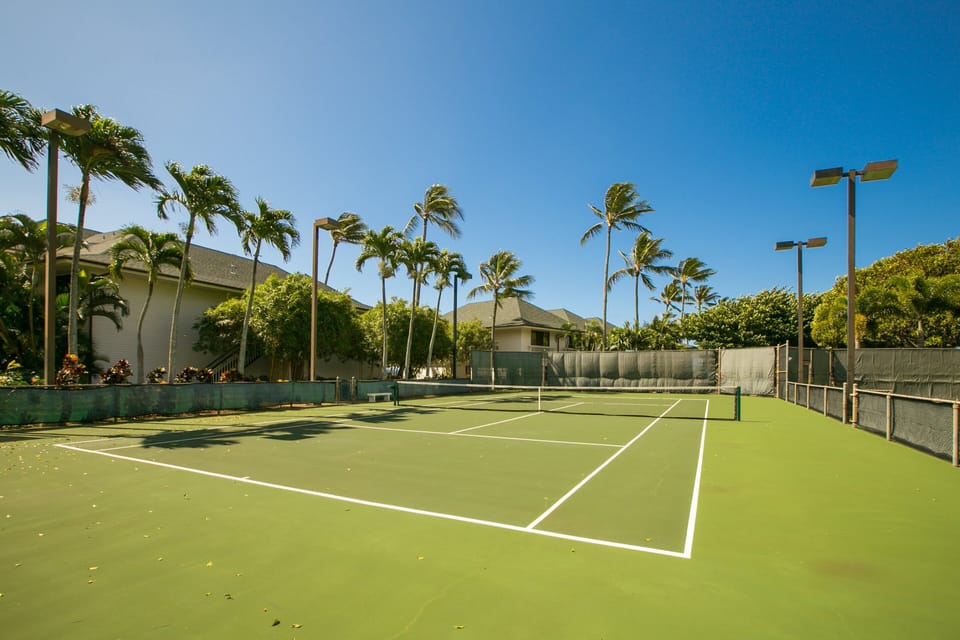Sport court