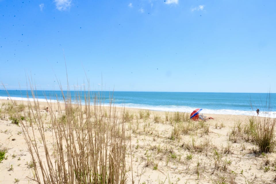 Beach at Mckinley