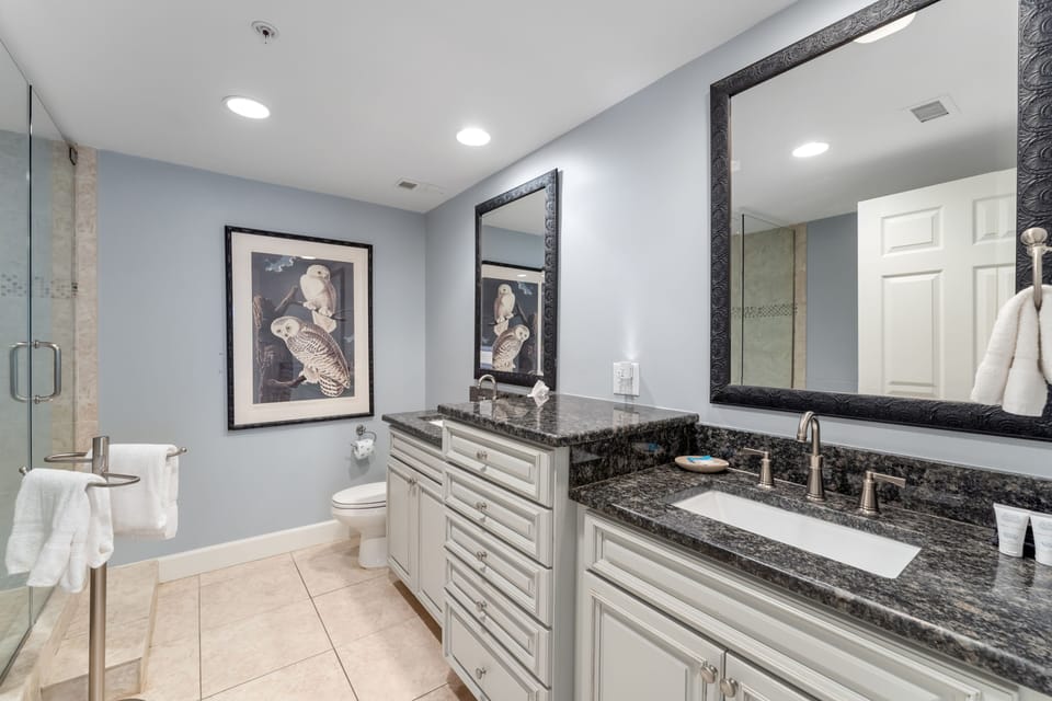 master bath sink area - Walk in shower and tub as well
