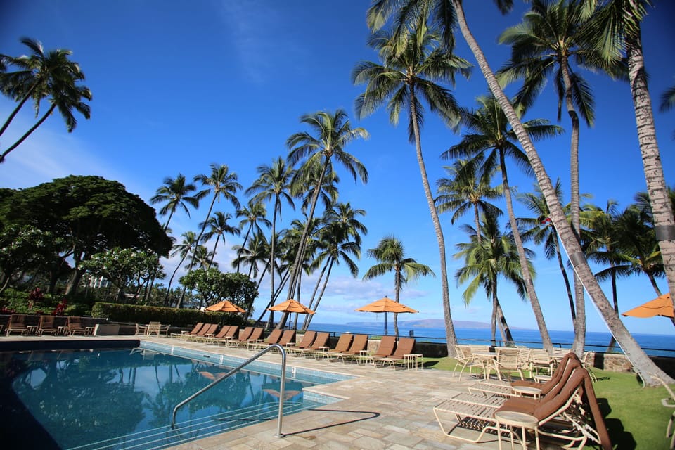 Poolside paradise with swaying palms and blue water.