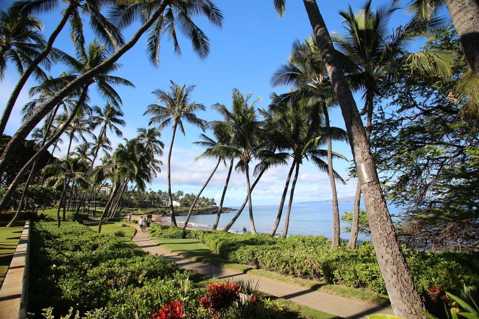 Scenic walkway extending along Wailea beaches and  beyond...
©2017 Jillian
