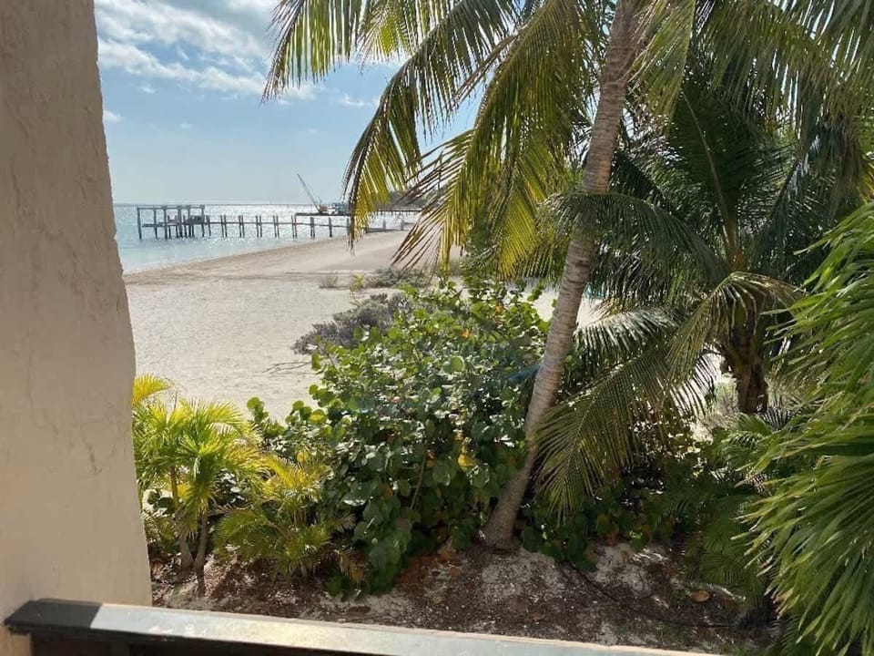 Enjoy beach views from your window.