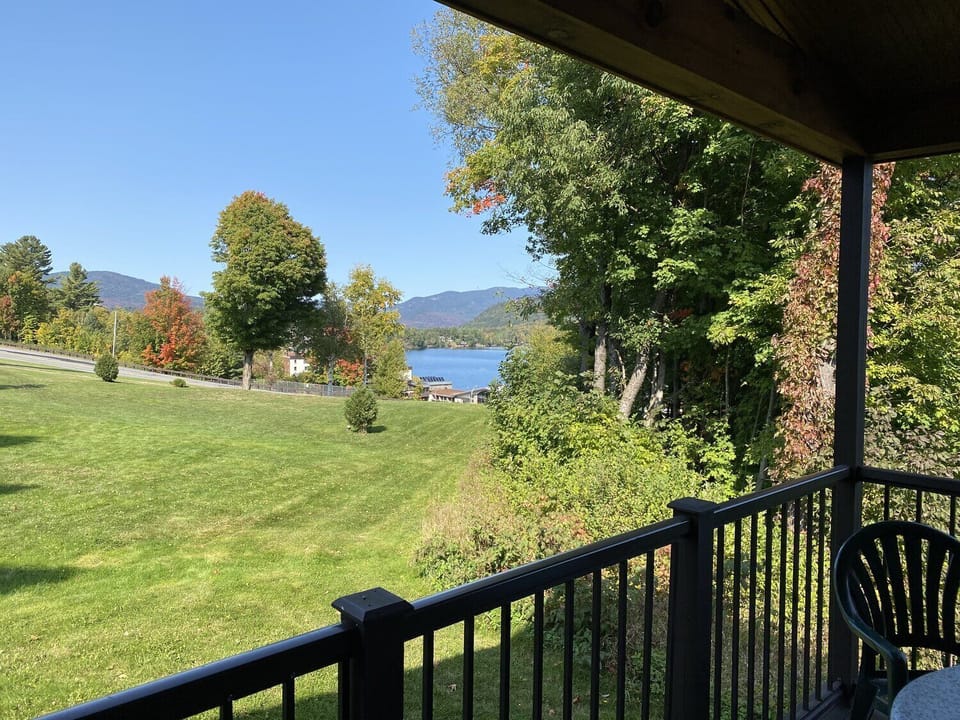 GV view