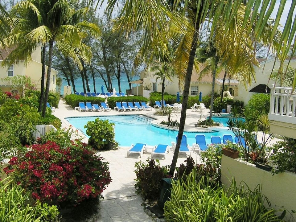 Courtyard Pool