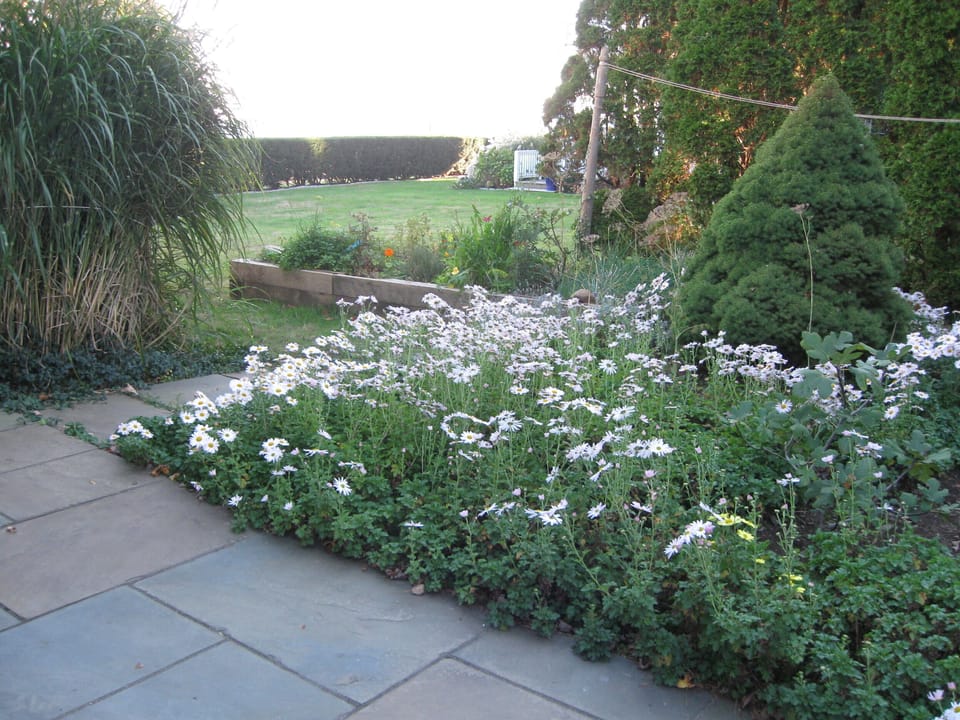 Garden at side of house